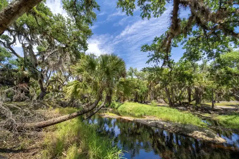 Hernando County