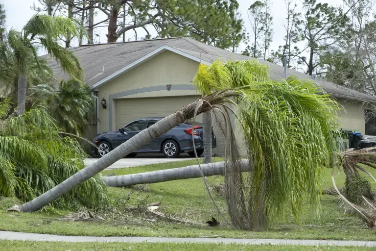 Florida home with an intact garage door behind storm-damaged palms