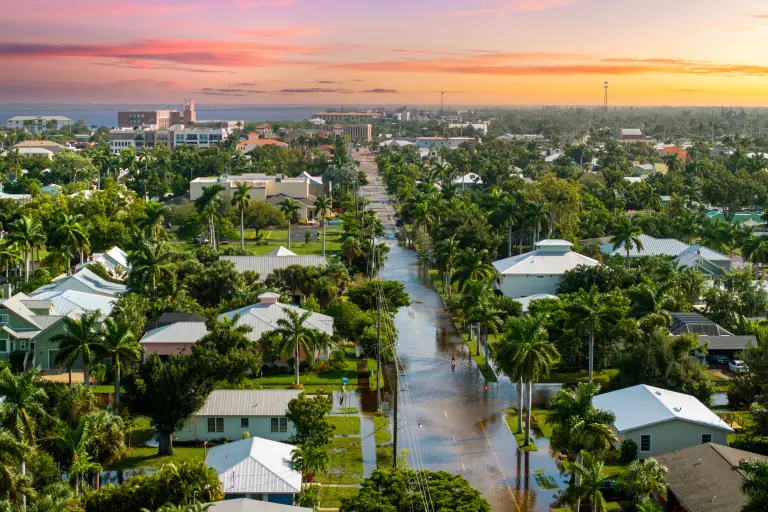 Aerial view of a flooded street through a palm-lined neighborhood after a tropical storm