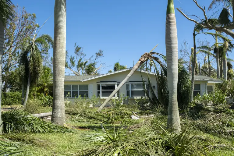 Florida home with an uprooted palm tree after a hurricane